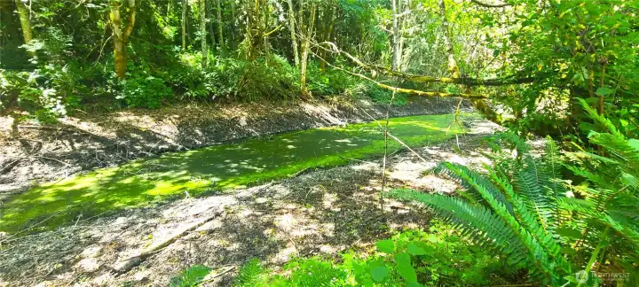 Pond Pond