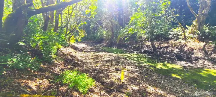Pond Pond
