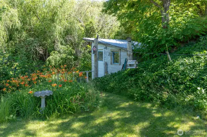shed, once was a chicken coop shed, once was a chicken coop