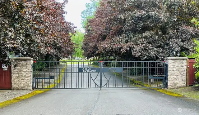 The Gated Community of Willow Tree