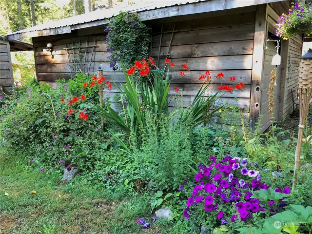 Flower garden entering property