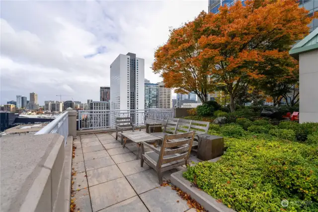 Rooftop deck encompasses entire roof, with gardens, seating areas and barbeques for use.