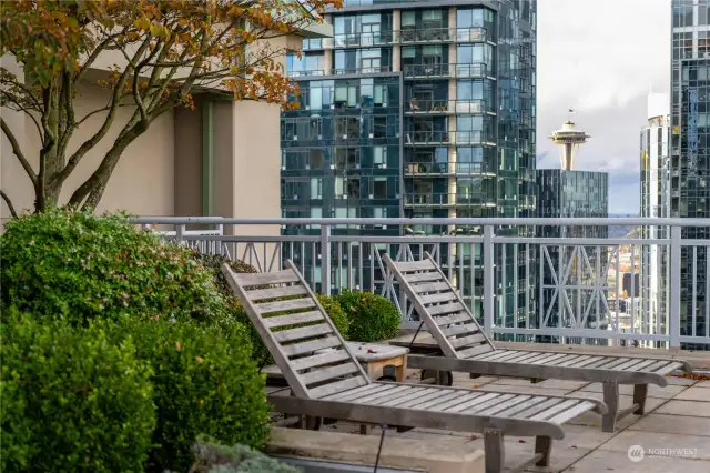 Relax with a peek-a-boo view of the Space Needle.