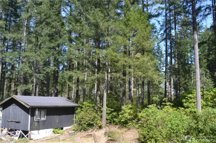 Adjacent Property & Cabin Also Available