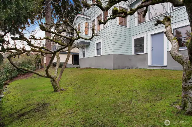 Backyard - note exterior basement door.