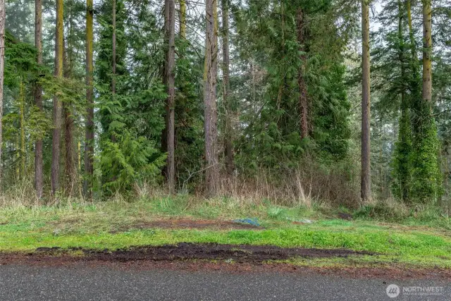 Pull over and park on this grassy turnout with the real estate sign on Umatilla Ave. shortly past Silver St.