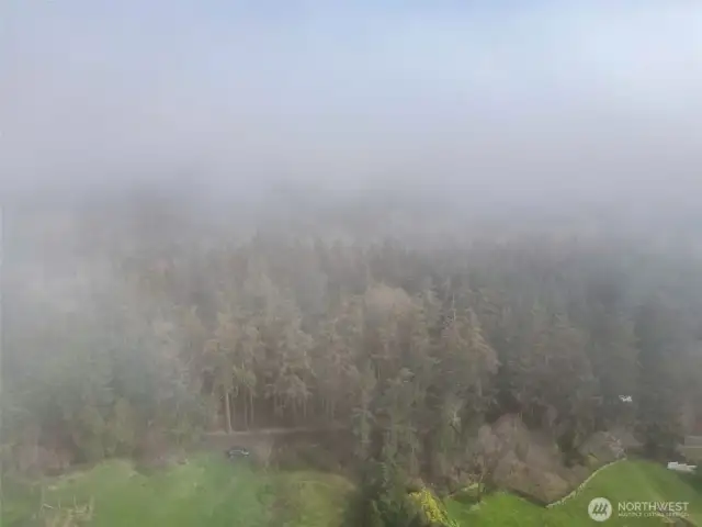 Sometimes fog rolls in! Please come have a look. Welcome to the small city of Port Townsend!