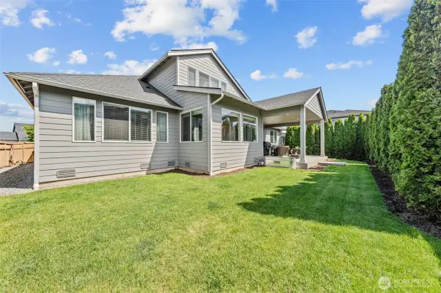 Backyard