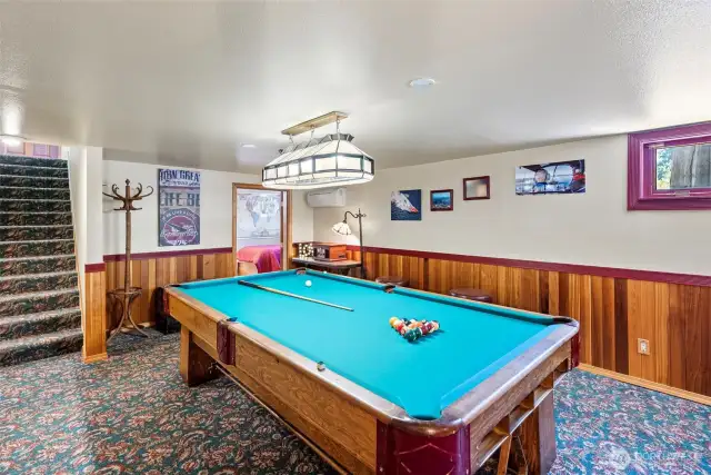 Downstairs Entertainment Room