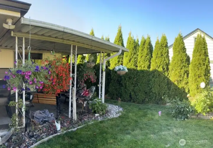 Such a sweet backyard!