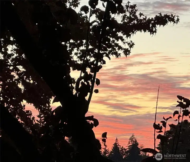 Beautiful sunset  !