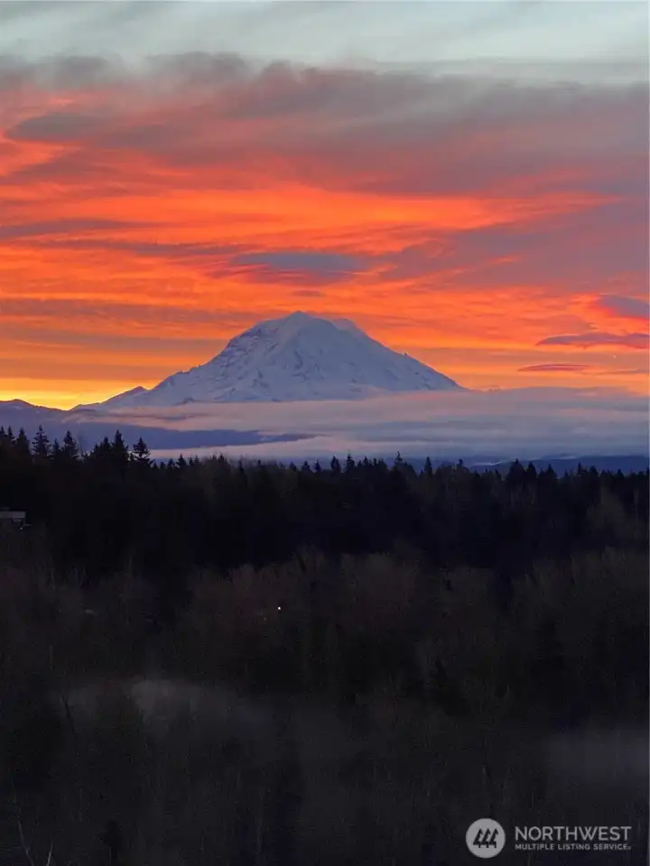 Mt Rainier sunrise