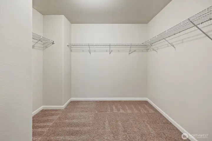 Spacious walk-in closet with endless storage possibilities