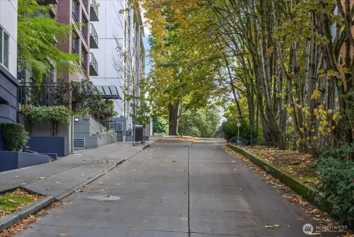 Back of Building Terry Ave overlooks trees and the Elektra