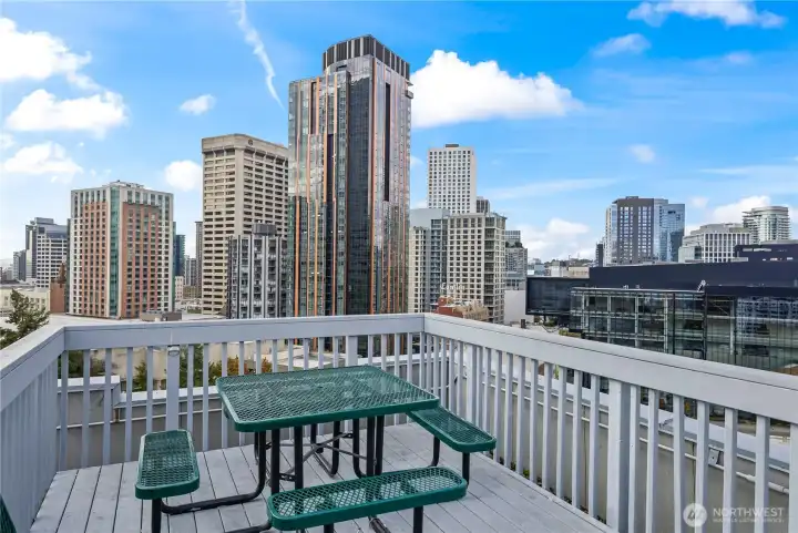 Picnic seating on the roof with views of incredible architecture.