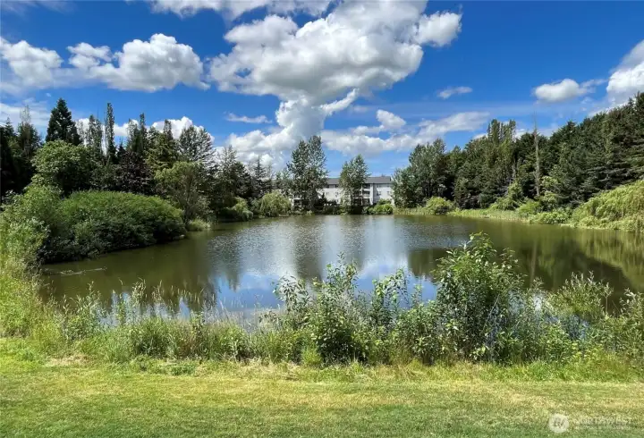View Accross Pond opposite Direction to Condo