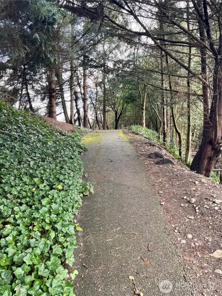 Walking Trails on the Northside of the property