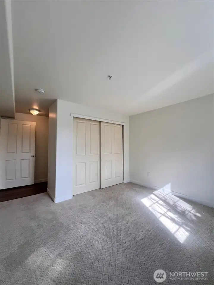 Large primary closet