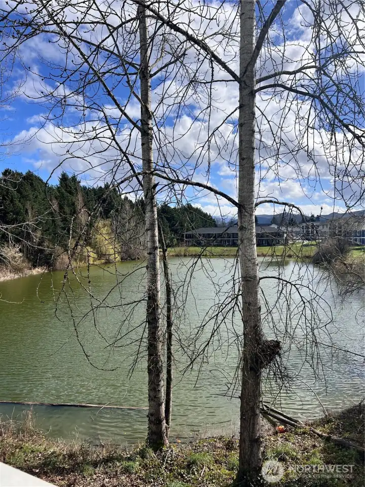 View from walking trail