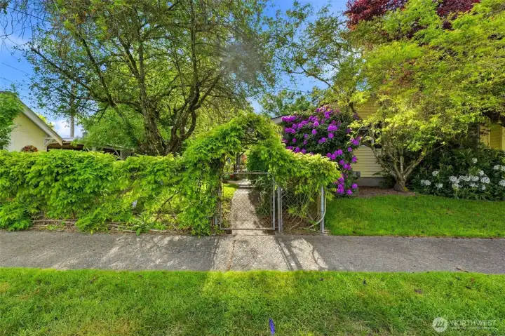 Side gate to the backyard.
