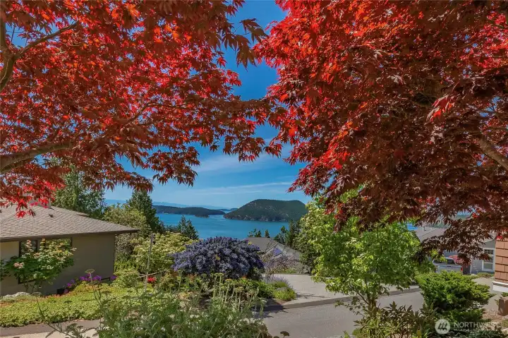 Gorgeous, EZ care, mature landscaping with drip irrigation system. Top to bottom, inside and out, this property is pristine! Gorgeous, EZ care, mature landscaping with drip irrigation system. Top to bottom, inside and out, this property is pristine!