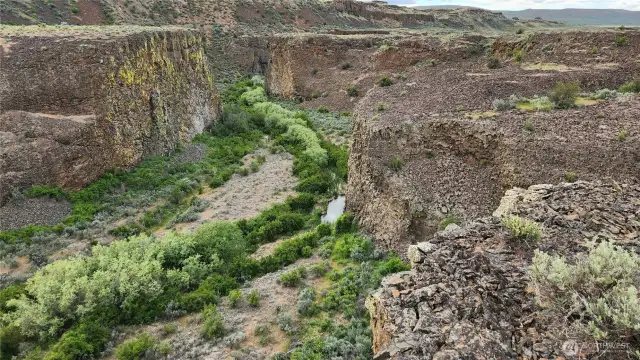Views down into McCarteney Creek