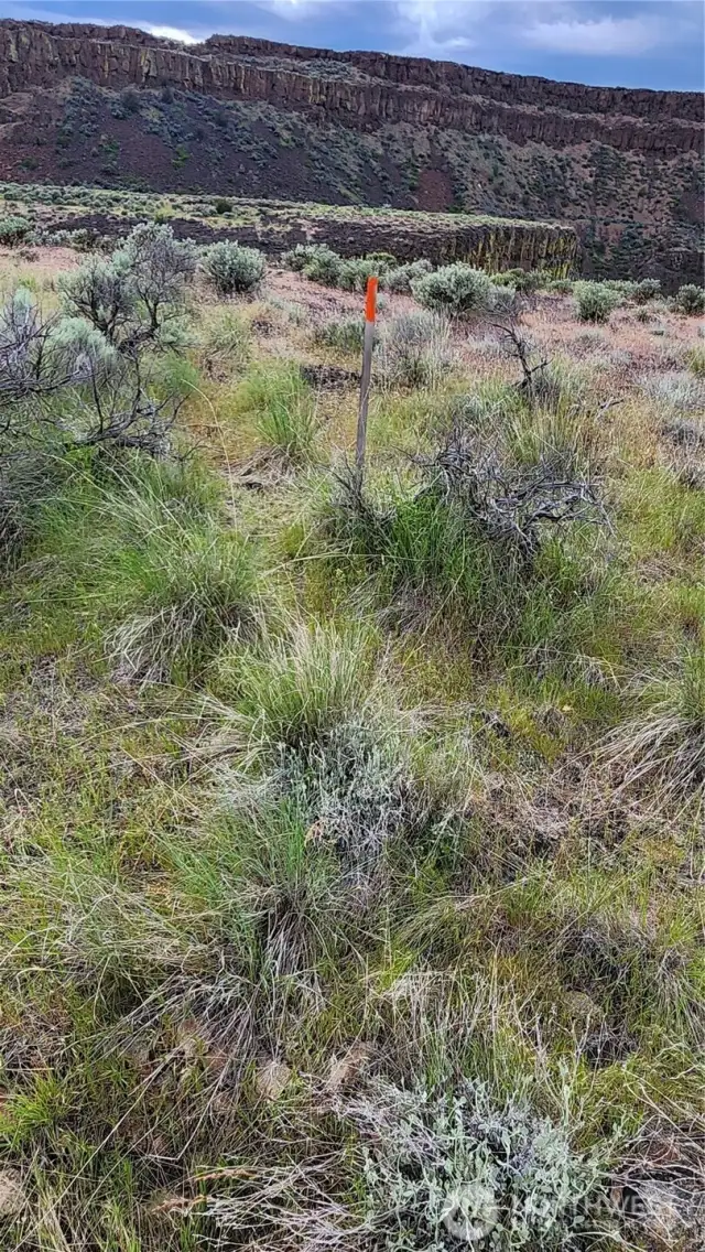 Property Line Stake