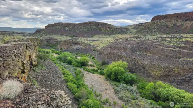 Views down into McCarteney Creek