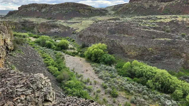 Views down into McCarteney Creek