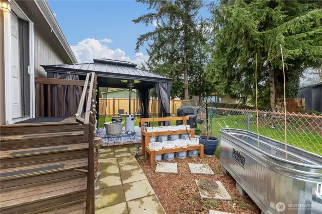 Backyard oasis