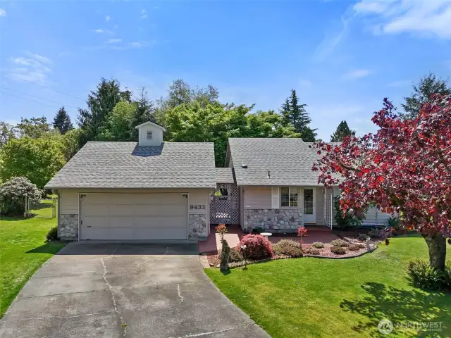pinedrop ct se