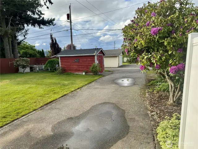 Driveway coming in off Back Alley.