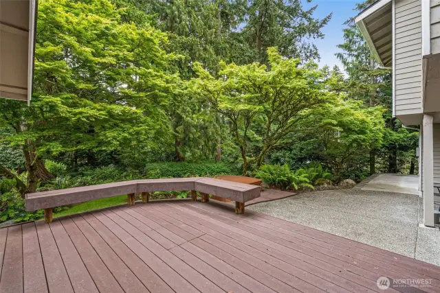 Composite deck overlooking mature trees.