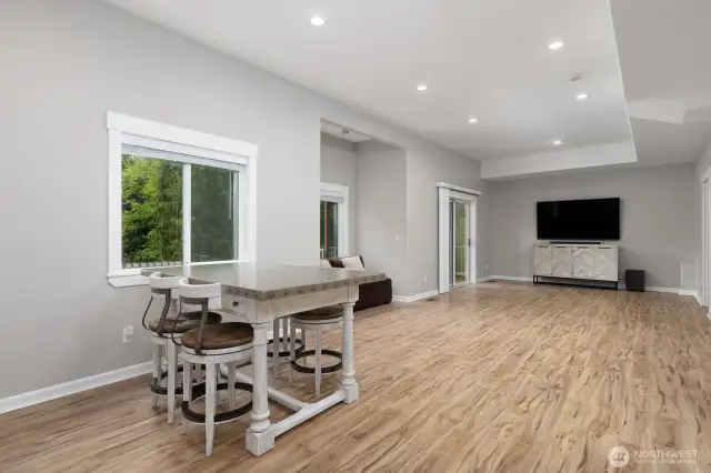 Basement Living area