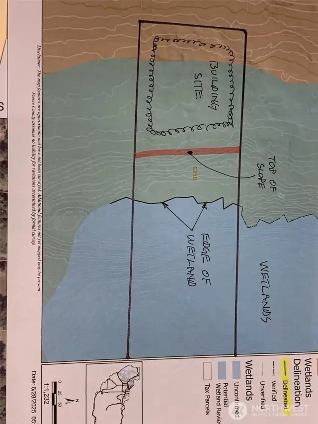 Critical Areas map from county GIS site. The wetland has been delineated.