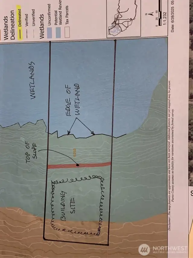 Critical Areas map from county GIS site. The wetland has been delineated.