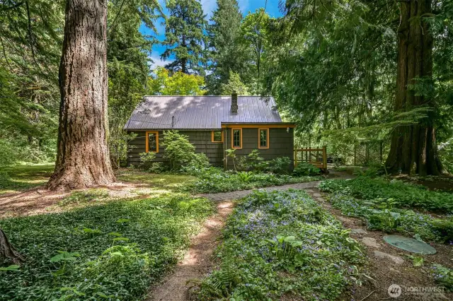 A magical family owned home nestled in old growth trees.