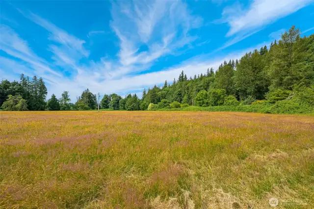 Incredible opportunity on the lower field, open, flat , sunny with views and ready for your vision.