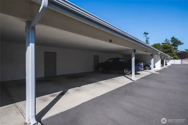 Two Covered Parking Spaces with own oversized 19’ x 5’ walk in Storage Unit!