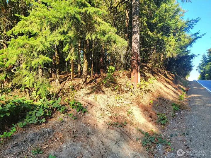 The best access to the trail is by heading up the small embankment located to the east of the parking spot, specifically near the pole that has a brown metal piece at the bottom.