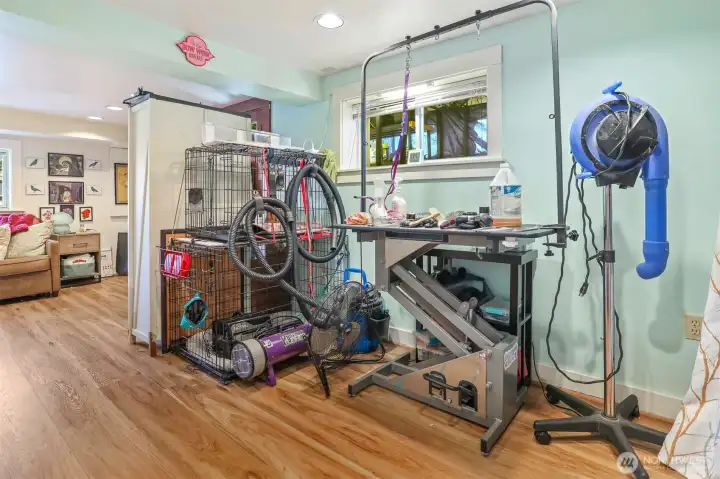 Basement flex room (currently set up as home business)