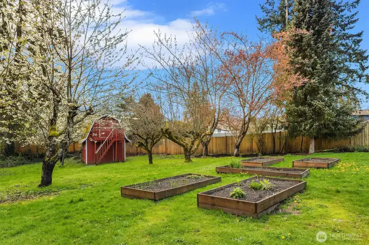 Garden beds- just in time for summer!