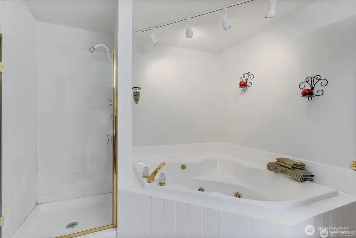 Primary bath with jetted tub and large shower