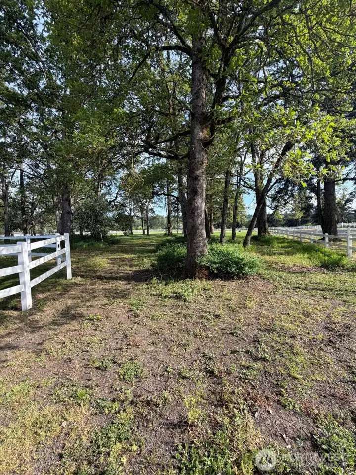 Plenty of pasture space and vinyl fencing for easy maintenance