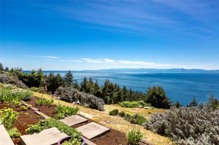 Views from your deck