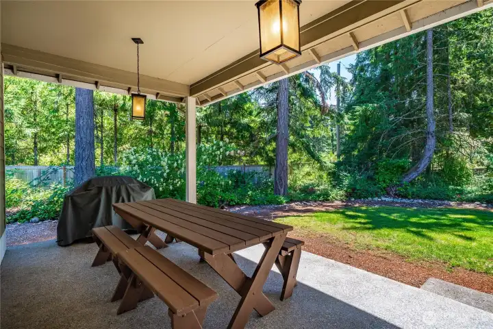 Covered back patio with hanging lights, picnic table seating, and relaxing views of the private, tree-lined backyard. Covered back patio with hanging lights, picnic table seating, and relaxing views of the private, tree-lined backyard.