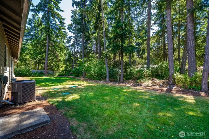 Shaded backyard lawn surrounded by mature evergreens and natural landscaping, creating a quiet outdoor retreat. Shaded backyard lawn surrounded by mature evergreens and natural landscaping, creating a quiet outdoor retreat.