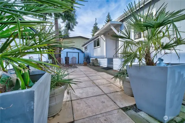 Palm Planters opening to southside courtyard.