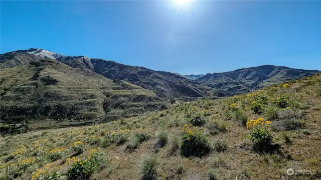 Looking South from NW corner of property.