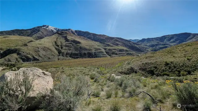 Looking SW from the East area of property.